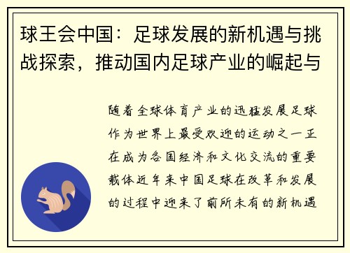 球王会中国：足球发展的新机遇与挑战探索，推动国内足球产业的崛起与国际化发展